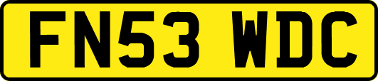 FN53WDC