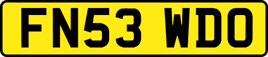 FN53WDO