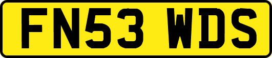 FN53WDS