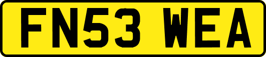 FN53WEA