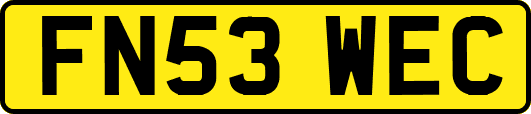 FN53WEC