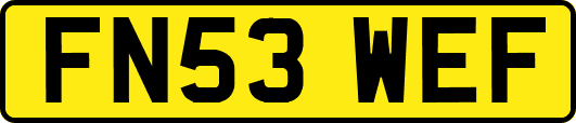 FN53WEF