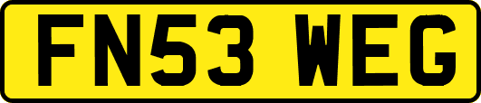 FN53WEG