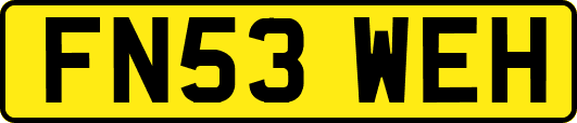 FN53WEH