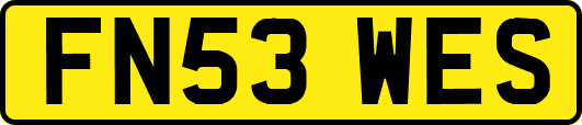 FN53WES