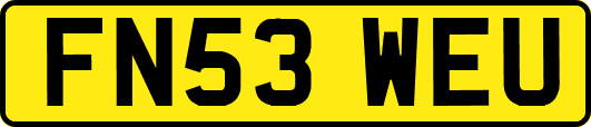 FN53WEU