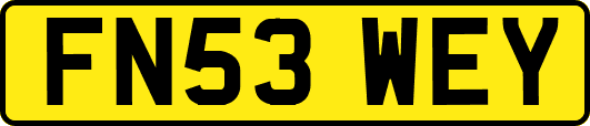 FN53WEY