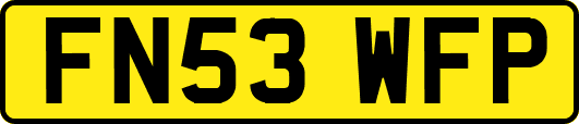FN53WFP