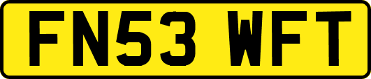 FN53WFT