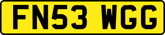 FN53WGG