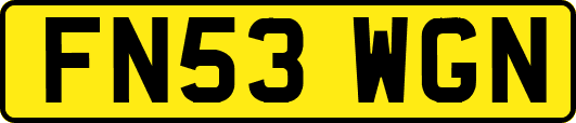 FN53WGN