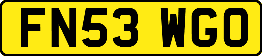 FN53WGO