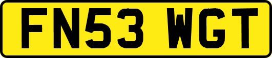 FN53WGT