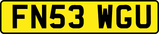 FN53WGU