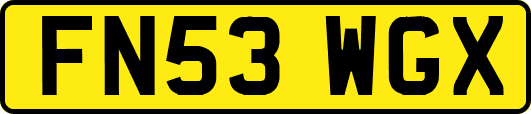 FN53WGX