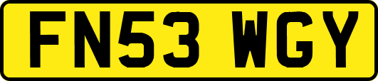 FN53WGY