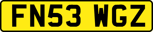 FN53WGZ