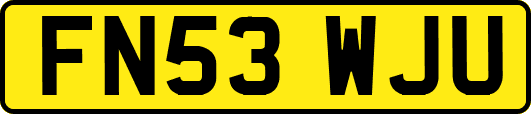 FN53WJU