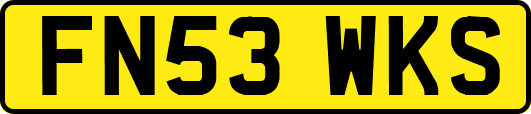 FN53WKS
