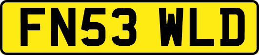 FN53WLD