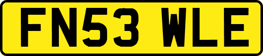 FN53WLE