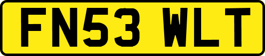 FN53WLT
