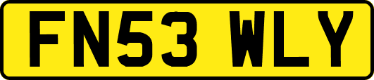 FN53WLY