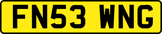 FN53WNG