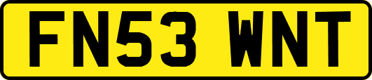 FN53WNT