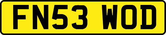FN53WOD