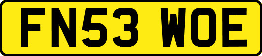 FN53WOE