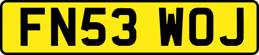 FN53WOJ