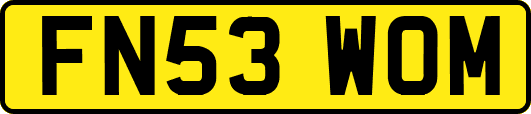 FN53WOM
