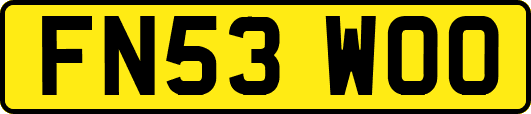FN53WOO