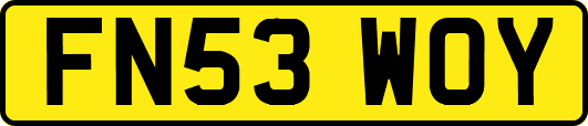 FN53WOY
