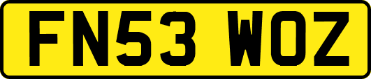 FN53WOZ