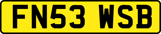 FN53WSB