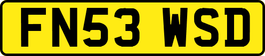 FN53WSD