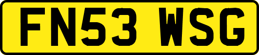 FN53WSG