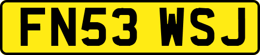 FN53WSJ