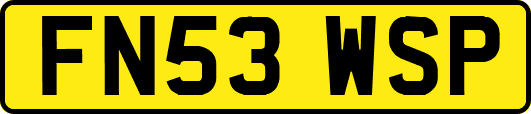 FN53WSP