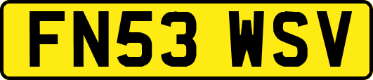 FN53WSV