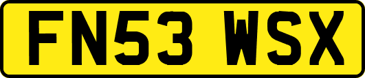 FN53WSX