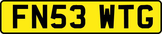 FN53WTG