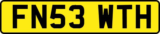 FN53WTH