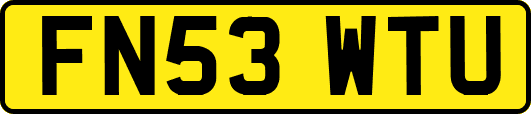 FN53WTU