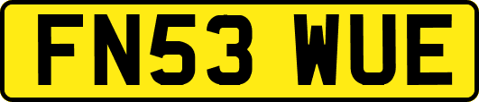 FN53WUE