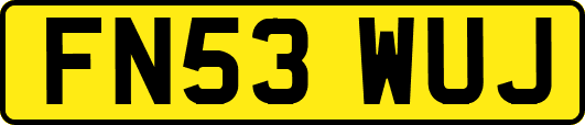 FN53WUJ