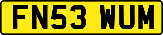 FN53WUM