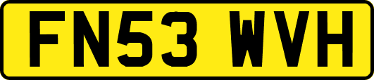 FN53WVH